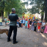 straż miejska puchatki.jpg
