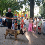 straż miejska puchatki1.jpg