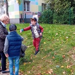 Dzieci sprzątają teren wokół przedszkola (2).jpg