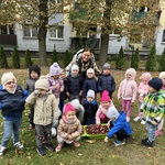 dzieci na zbiorach kasztanów.jpeg