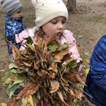 Ratujemy kasztanowce grupa Biedronki5.jpg