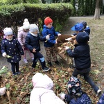 Ratujemy kasztanowce grupa Biedronki2.jpg