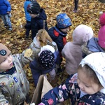 ratujemy kasztanowce grupa Pszczółek4.JPG
