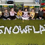 napis Snowflake.jpeg