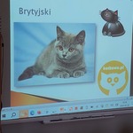 pogadanka8.jpg
