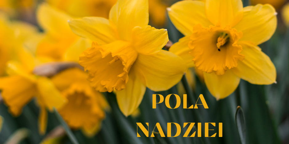Pola Nadziei
