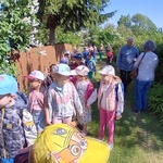 Oglądanie ogódków działkowych.jpg