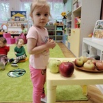 3. Dziewczynka wybiera duże jabłkaj.jpg