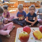 Dzieci oglądaja jabłko za pomocą lupy.jpg