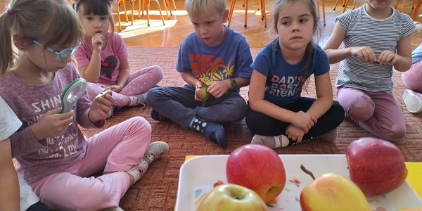 Dzieci oglądaja jabłko za pomocą lupy.jpg