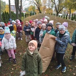Dzieci zbierają liście kasztanowca (8).jpg