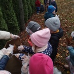 Dzieci zbierają liście kasztanowca (6).jpg