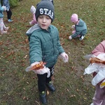 Dzieci zbierają liście kasztanowca (12).jpg