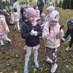 Dzieci zbierają liście kasztanowca (10).jpg