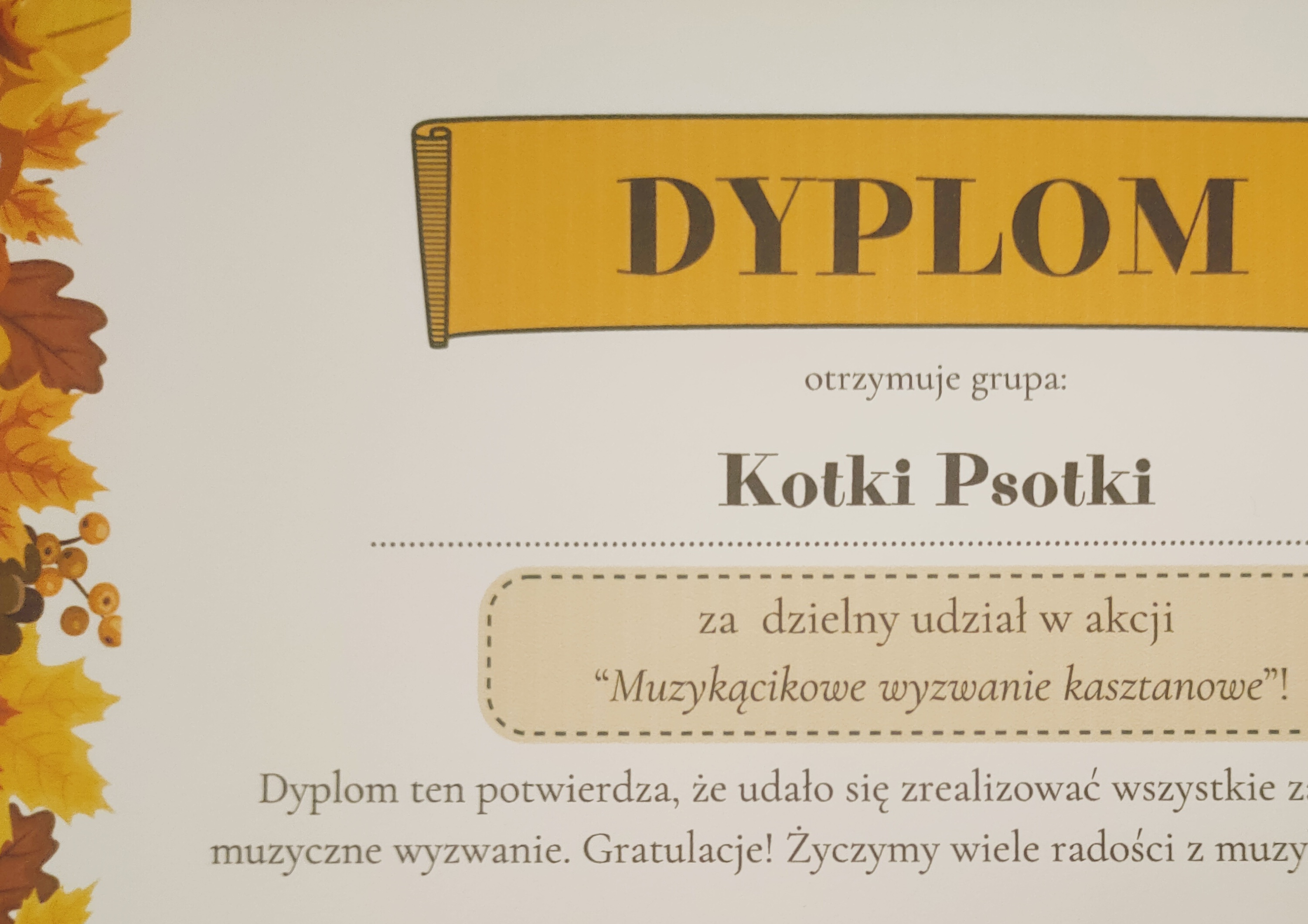 Kotki Psotki 1.jpg