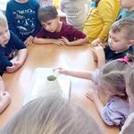 Przygotowania do wybuchu wulkanu.jpg