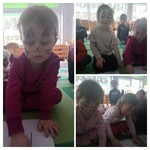 Tydzień kota 2.jpg