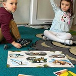 Dzień Dinozaura Biedronki 2.jpg