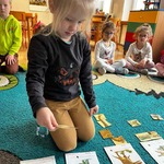 Dzień Dinozaura Biedronki 8.jpg