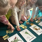 Dzień Dinozaura Biedronki 10.jpg