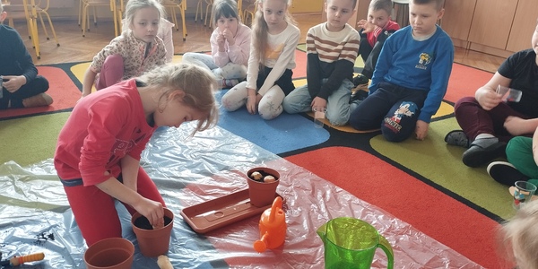 Dziewczynka sadzi pietruszkę.jpg