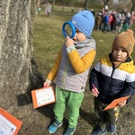 chłopiec patrzy przez lupę.jpeg