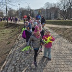 Biedronki wiosna 2.jpg