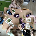 Majowa łąka (2).jpg