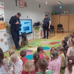 PKPKotki6.jpg