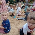Pszczółki1.jpg