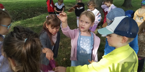 Dzieci w parku zbierają liście i owoce dębu