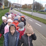 Dzieci obserwują ruch uliczny