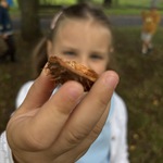 dziewczynka pokazuje skorupę kasztana