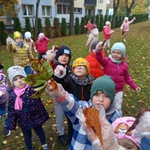 dzieci zbierają liście kasztanowca