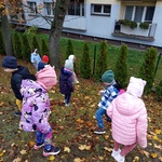dzieci szukają liści kasztanowca
