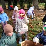 3. Dzieci wrzucają liście do worka
