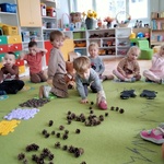 4 Misiowe łapy - dzieci zbierają szyszki.