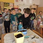 Ignaś podlewa cebulę.
