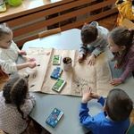 Program Czyste Powietrze w Krasnalach (2).jpg