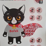 plakat z Kotkiem Bofkiem.