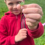 Wiosenna Łąka Biedronki (8).jpg