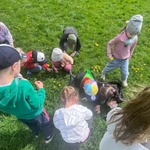 Wiosenna Łąka Biedronki (2).jpg