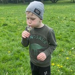 Wiosenna Łąka Biedronki (9).jpg