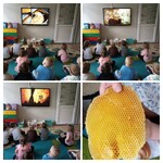 Dzień Pszczoły  (2).jpg