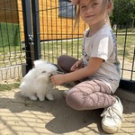 dziewczynka głaska królika.JPG