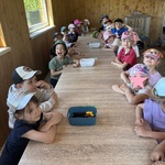 grupa Biedronki.