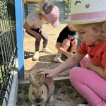 Dzieci głaszczą króliczka.