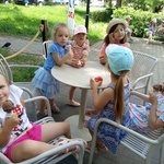 lody w Pinguno.
