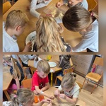 Biedronkii (6).jpg