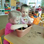 Amelia i Julia sadzą cebulkę
